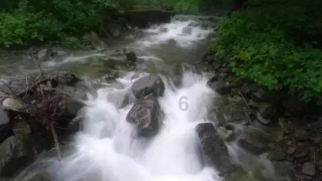 疯狂点击汉堡